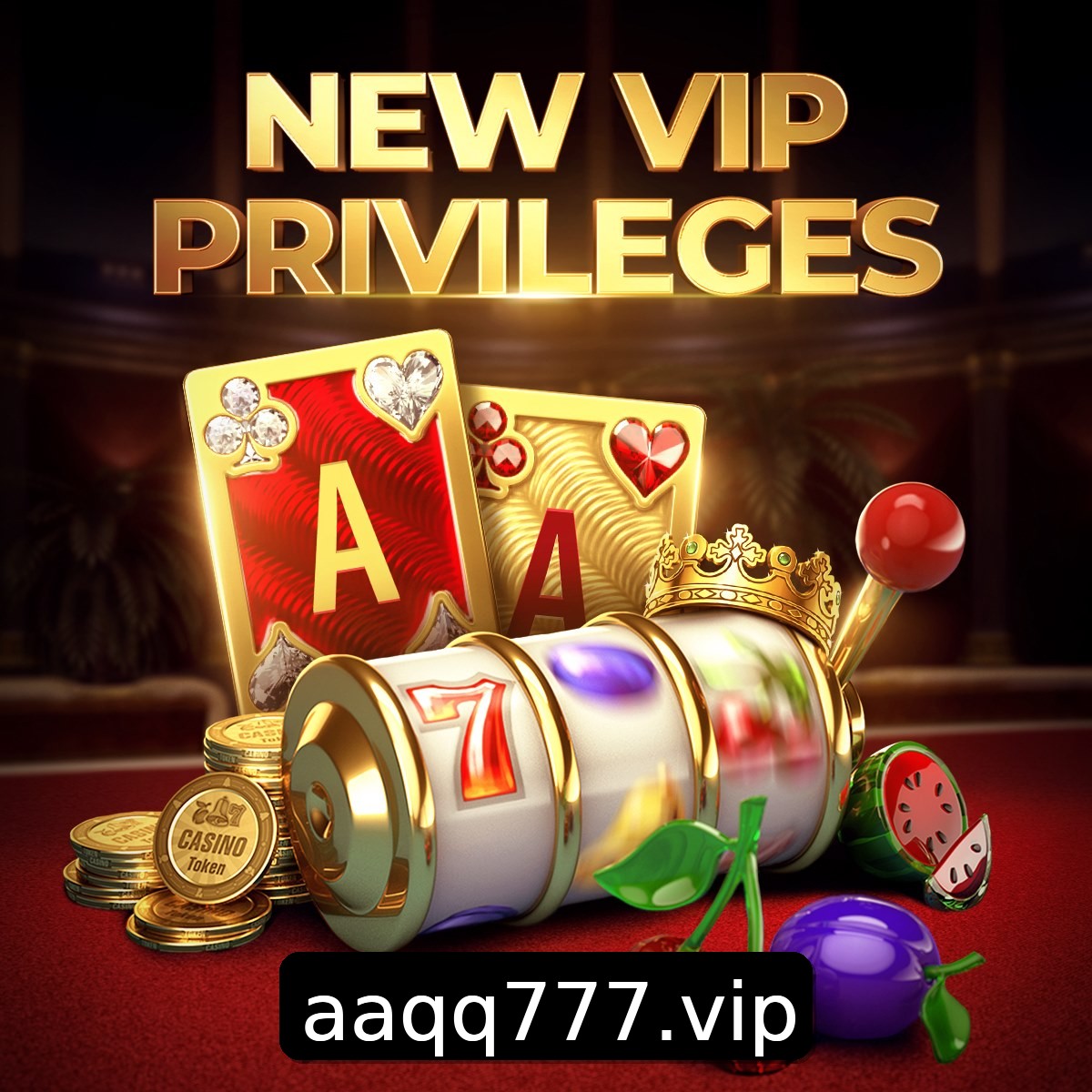 Programa VIP AAQQ
